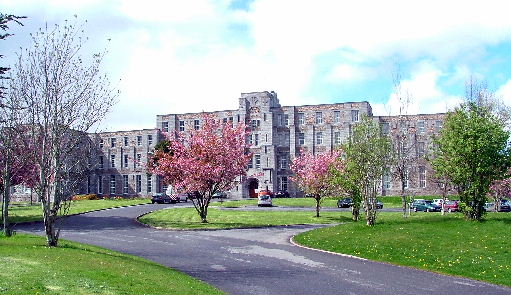 St Mary's School Galway, Irish Junior Venue