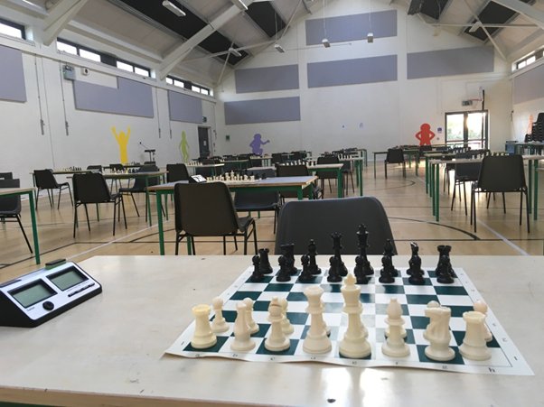 The playing area